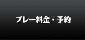 プレー料金